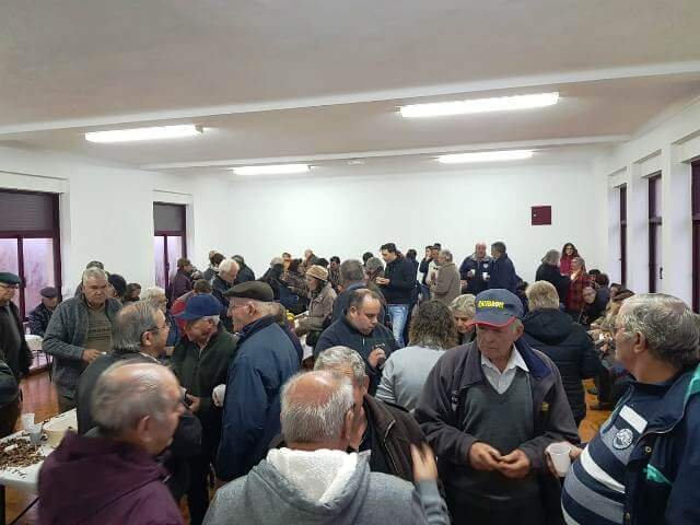 Magusto1